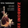 LP - Amedeo Tommasi Trio - Zamboni 22