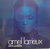 Double LP - Amel Larrieux - Infinite Possibilities - Promo