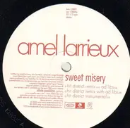 Amel Larrieux - Sweet Misery Remixes