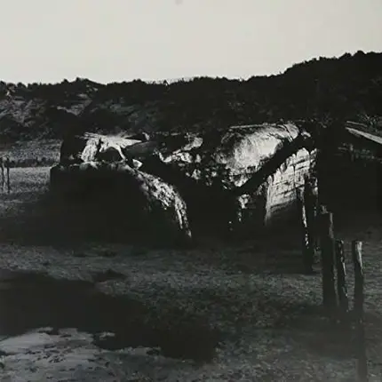 AMENRA - Mass V