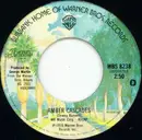 7inch Vinyl Single - America - Amber Cascades