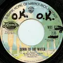 7inch Vinyl Single - America - Down To The Water