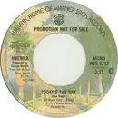 7inch Vinyl Single - America - Today's The Day