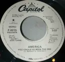 7inch Vinyl Single - America - You Could've Been The One