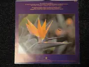 LP - America - Harbour