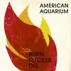 LP - American Aquarium - Burn.Flicker.Die