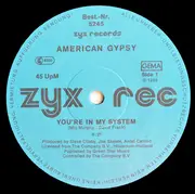 12inch Vinyl Single - American Gypsy - You're In My System