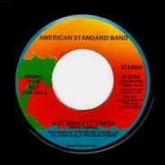 American Standard Band - Got What It Takes