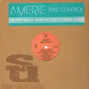12'' - Amerie - Take Control / That's What U R