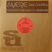12inch Vinyl Single - Amerie - Take Control - still sealed
