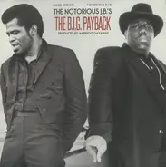 Amerigo Gazaway - The Notorious J.B.'s: The B.I.G. Payback