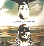 Amerigo Gazaway - A Common Wonder