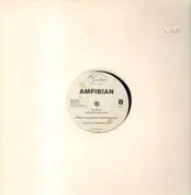 Amfibian