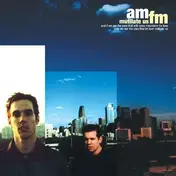 Am FM - Mutilate Us
