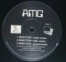 12inch Vinyl Single - Amg - Perfection / Bitch 2001