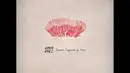 CD - Amit Erez - Summer Conquered By Rain