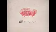 Amit Erez - Summer Conquered By Rain