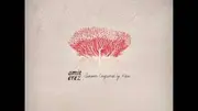 CD - Amit Erez - Summer Conquered By Rain