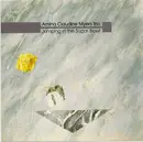 CD - Amina Claudine Myers Trio - Jumping In The Sugar Bowl