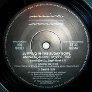 LP - Amina Claudine Myers Trio - Jumping in the Sugar Bowl
