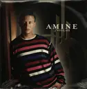 12inch Vinyl Single - Amine - J'Voulais - Still Sealed