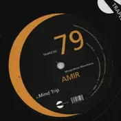 Amir - Minds Move Mountains