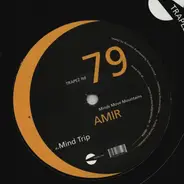 Amir - Minds Move Mountains