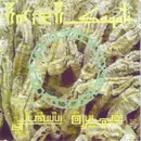 CD - Amïra Saqati - Agdal Reptiles On Majoun