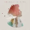 Double LP - Amirali - In Time