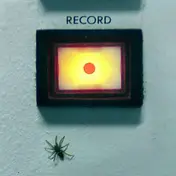 Amplifier - Record