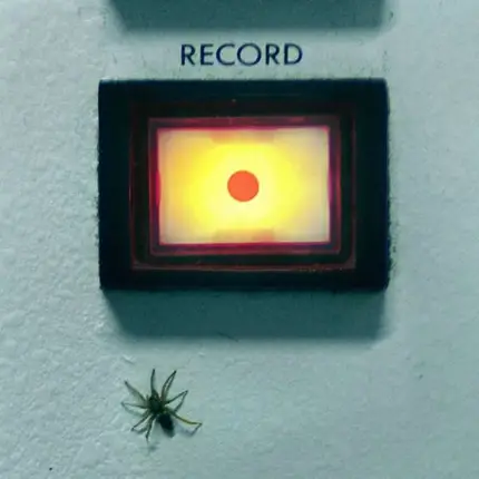 Amplifier - Record