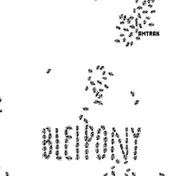 Amtrak - Bleipony