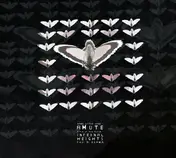 Amute - Infernal Heights for a Drama