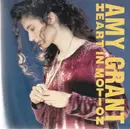 CD - Amy Grant - Heart In Motion