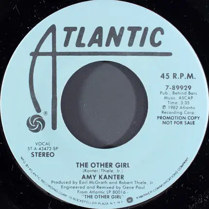 Amy Kanter - The Other Girl