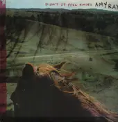 Amy Ray - Didn't It Feel Kinder