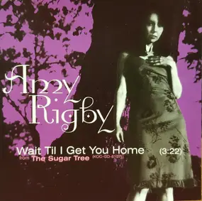 Amy Rigby - Wait Til I Get You Home