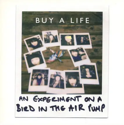 An Experiment On A Bird In The Air Pump - Buy A Life