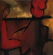 LP - An Ordinary Field - No Hands For The Preacher