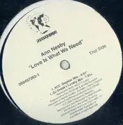 12inch Vinyl Single - Ann Nesby - Love Is What We Need - still sealed