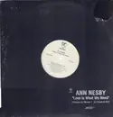 12inch Vinyl Single - Ann Nesby - Love Is What We Need - still sealed