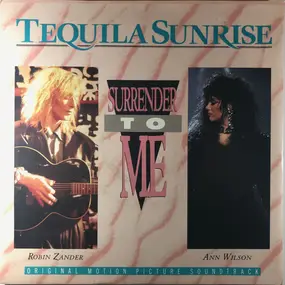 Ann Wilson - Surrender To Me