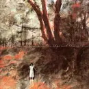 CD - Anna Domino - Colouring In The Edge & The Outline