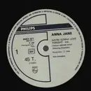 12inch Vinyl Single - Anna-Jane - We're Gonna Love Tonight - No original cover
