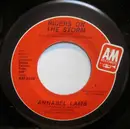 7inch Vinyl Single - Annabel Lamb - Riders On The Storm