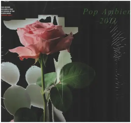 Various - POP AMBIENT 2011