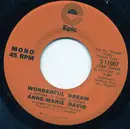 7inch Vinyl Single - Anne-Marie David - Wonderful Dream - Mono Stereo Promo