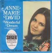 7inch Vinyl Single - Anne-Marie David - Wonderful Dream