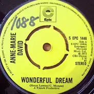 Anne-Marie David - Wonderful Dream / Tu Te Reconnaitras