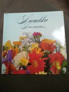 Anouchka - Avec amour...
